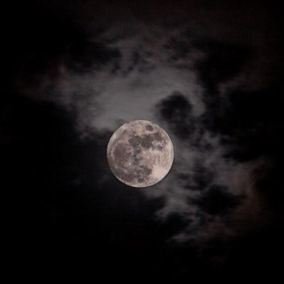 DrippingWithSex's profile picture. ᅠ ᅠᅠ ᅠ ᅠᅠ ᅠ ᅠᅠ