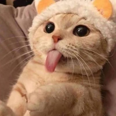 magikaar's profile picture. Customer car support 🐈 - Here for a good time not long💕