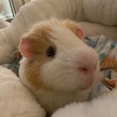 99yu0k's profile picture. 난 언제나 너의 형이고 언제나 너의 도움이 될게