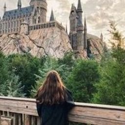 Awweaierfar962's profile picture. 