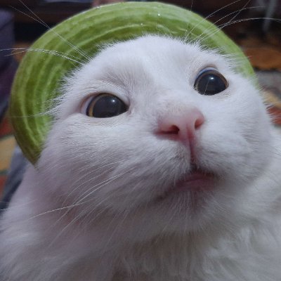 Habibii_Habib's profile picture. Its not illegal if you don't get caught