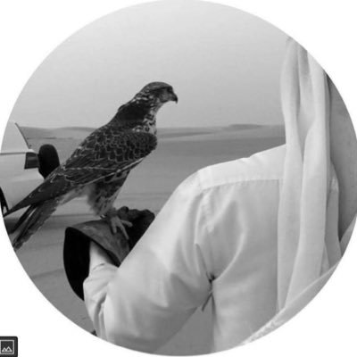 TTwbnb66161's profile picture. هدفي توضيح الحقيقة، لا لإقناع أحد. اخو جوزاء الدهمشي.