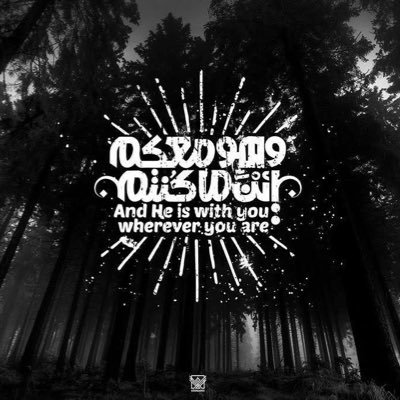 abeergaber's profile picture. 🇪🇬🎶🤍🏹