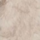 zmWn2DWIh189336's profile picture. 