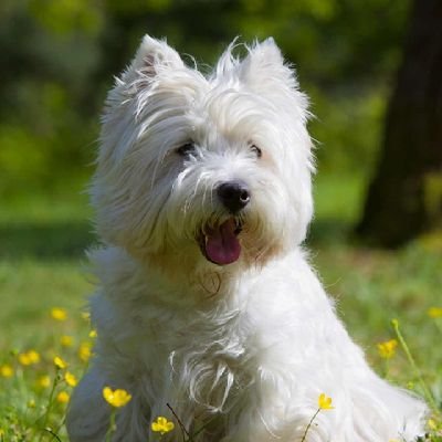 midasqqy's profile picture. 