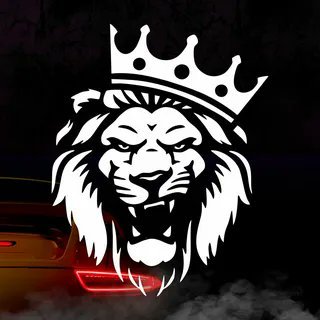 BaileyWelc46148's profile picture. 