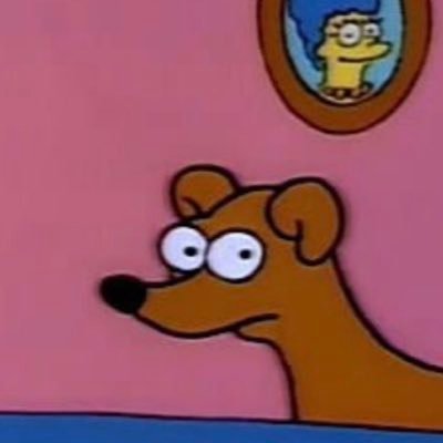 _stormborn's profile picture. Fangirleo, docente, estudiante, muchos michis, saco fotos. La maternidad me pasó por encima y vengo a quejarme acá 🌈