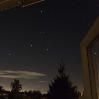 rinchenxx's profile picture. unhinged opinions | אל תקח אותי ברצינות🕊️