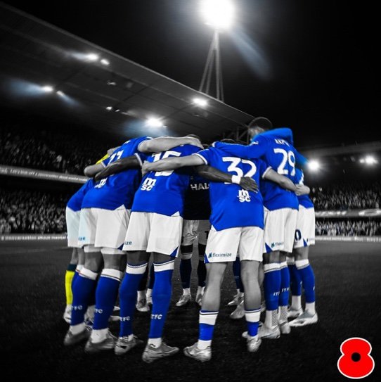 ip1switch's profile picture. 