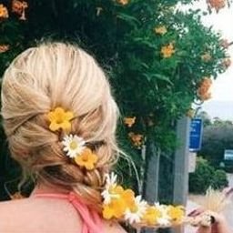 Erproobterl233's profile picture. 