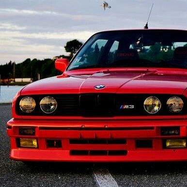 Xeggyion's profile picture. 