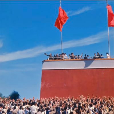 yeyouzi8's profile picture. 