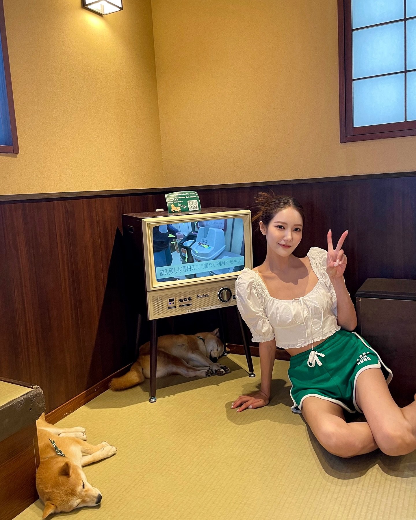 greenigron94816's profile picture. 