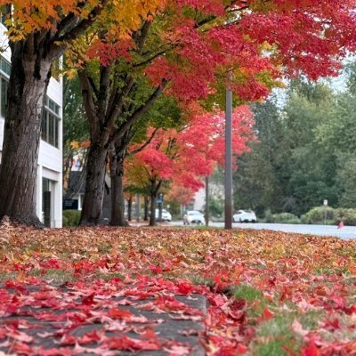 lwnujdn's profile picture. I have traveled through Europe and also through my own heart.
The UK, Switzerland, and France all give me strength.
I am learning English.