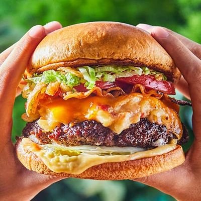 foodolfo's profile picture. 