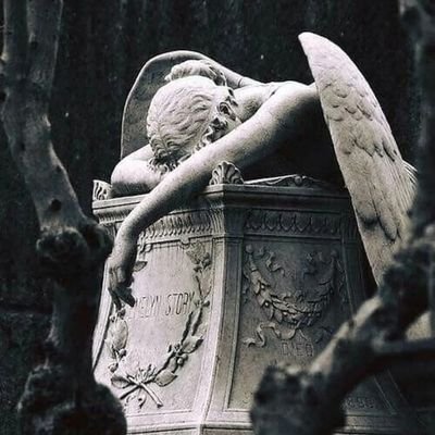 TrenchBabyDl's profile picture. Damaged