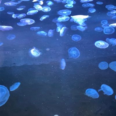 readconlycmemc's profile picture. 閲覧用です。成人してます。怪しいものではないです。素敵な作品を拝見して、いいねしたいだけのアカウント。