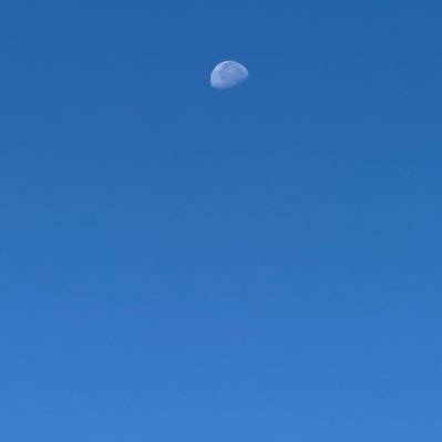 Kaitlynmcclurke's profile picture. 🤪 w/ decorum