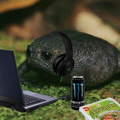 inswainwetrust's profile picture. Je graille des LP et de l’highlighter. 🩷💜💙