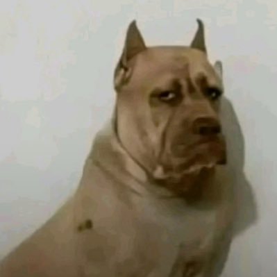 lartistedezo's profile picture. 