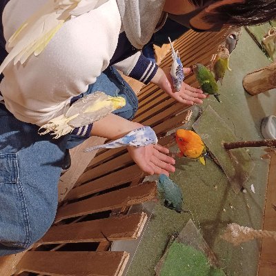 sumipon565688's profile picture. しずかーにイラスト勉強を０からしています。