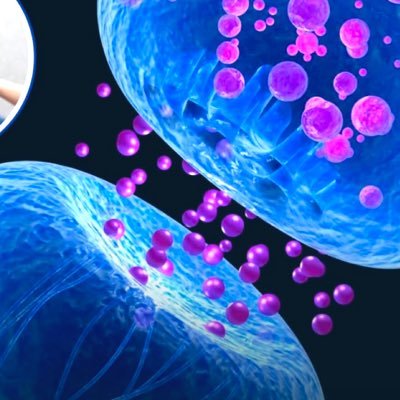 Weageathome's profile picture. 