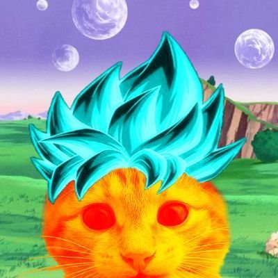 shiocham422's profile picture. quanty