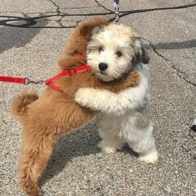 May13th_Fri's profile picture. 