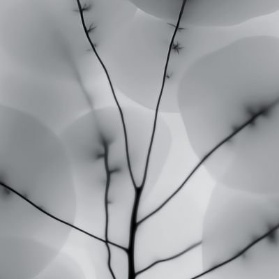 sauravrJourno's profile picture. 