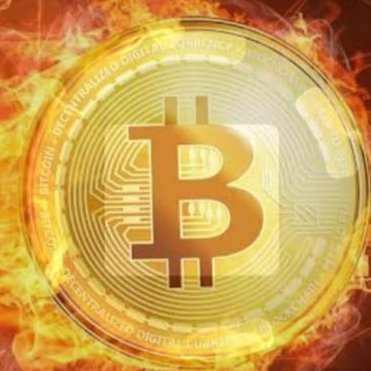 MaxamedD76633's profile picture. 