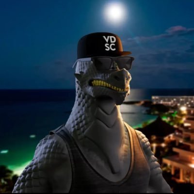 CleanWhips108's profile picture. #VOLT⚡️ #VDSC🐉