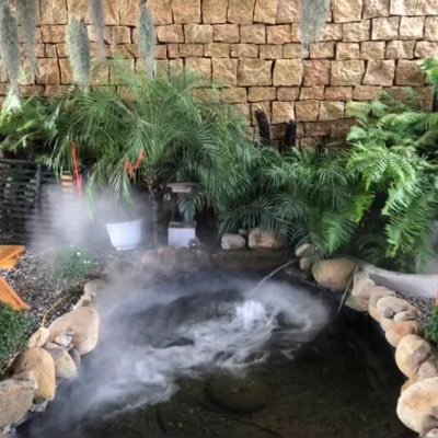 coinpro68's profile picture. 