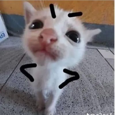 wdylm17's profile picture. #dek69  ที่อยากเปงหมอ เพราะเป็นคนคูลๆ