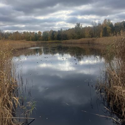 moni96028362's profile picture. 