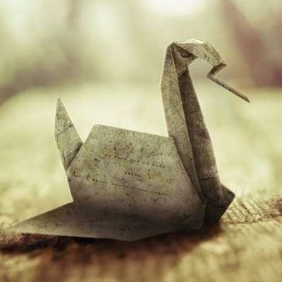 hivorra's profile picture. Introvert || Manchester United || ❤️ 🦅|| outsider || Everything E-books || Movies and series || check highlights for top posts || Dm for PRs ||