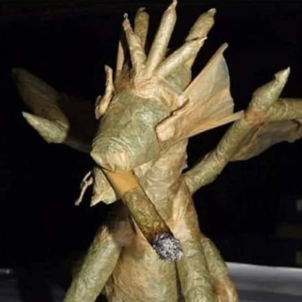 Noobzn__'s profile picture. Tragão