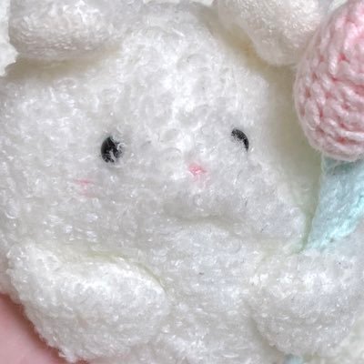 krmo527k's profile picture. ぬいぐるみと生活