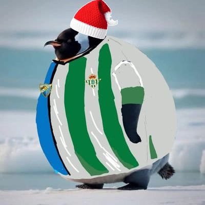 timotyputogordo's profile picture. soy del betis, también soy del malaga y odio al futbol//no hago mas que quejarme