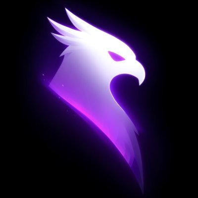 RavenOps_'s profile picture. Track the smartest wallets on Solana | @Eserya77