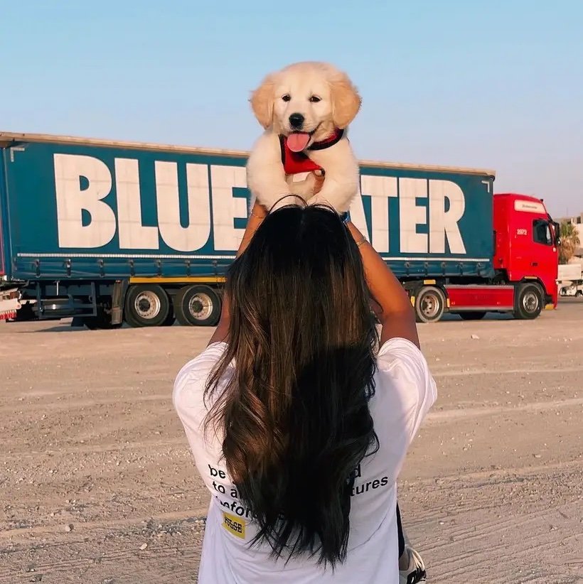 ABOODlxlo's profile picture. 