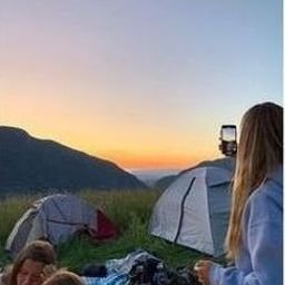 Alraujib4303's profile picture. 