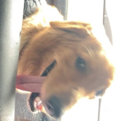 romcompaglu's profile picture. finance gurl in making