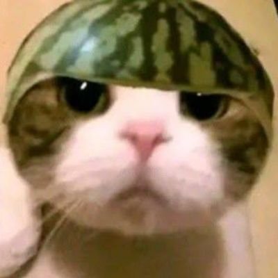 Ryosuzaki333's profile picture. 