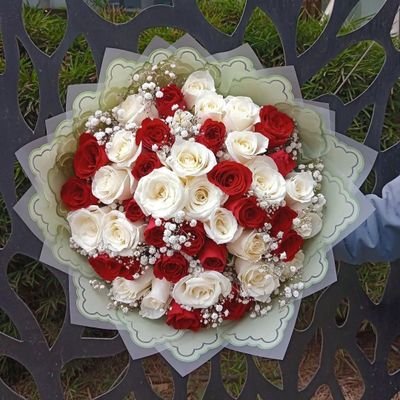 KimiteiRaphael's profile picture. 