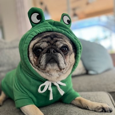 Nikkicola923's profile picture. Autism mom for 19 years. Proud American and lover of TRUTH, politics, and the movie we are living in.  Let's save the children!