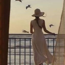 uceacou88426's profile picture. 