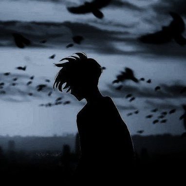 12_adekola's profile picture. 