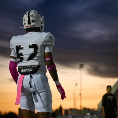 Demione Hicks Profile