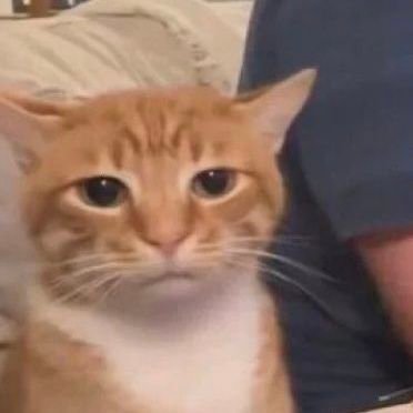 Rootkidx's profile picture. IDK