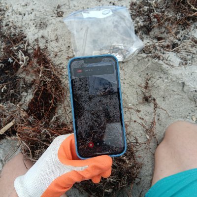 buyoceantrash's profile picture. I sell nfts of ocean trash that I have removed from beaches all over the place.